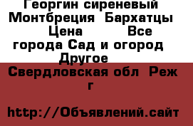 Георгин сиреневый. Монтбреция. Бархатцы.  › Цена ­ 100 - Все города Сад и огород » Другое   . Свердловская обл.,Реж г.